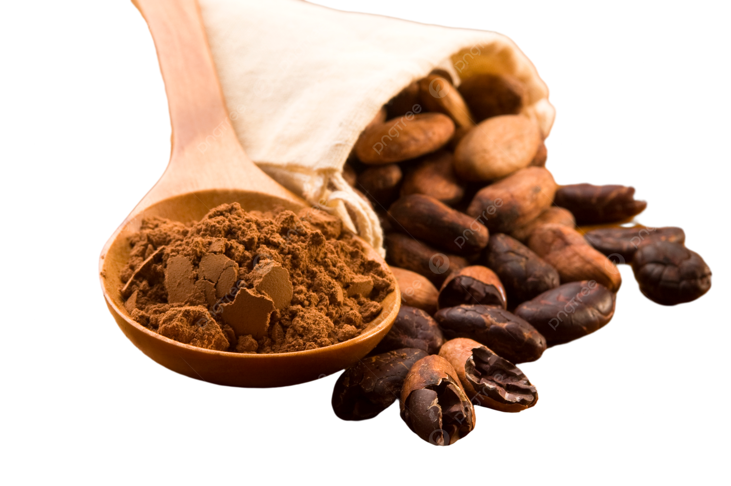 Le cacao de Madagascar