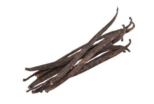 Vanille de Madagascar